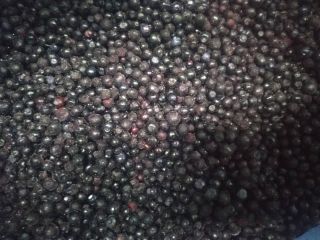 I will sell a frozen forest berry from Ukraine.