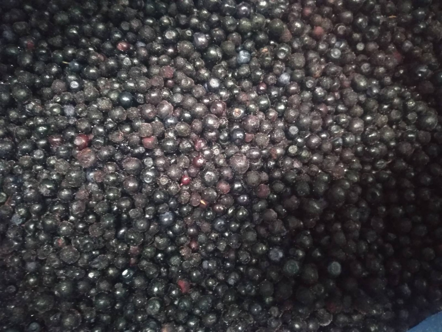 I will sell a frozen forest berry from Ukraine