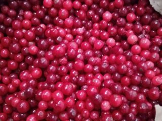 I will sell frozen cranberries from Ukraine. Only TIR