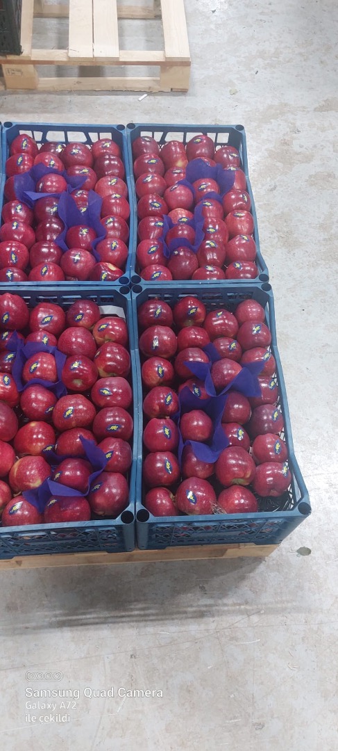 Apples Starkinson and Granny