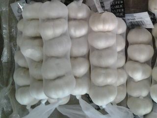 We have pure white garlics for sale
