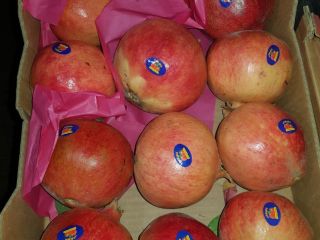 For sale direct from the field.