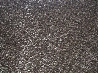I am selling about 2 tons of rye, the