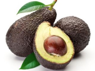 We mainly export avocados such as Hass and Fuerte.