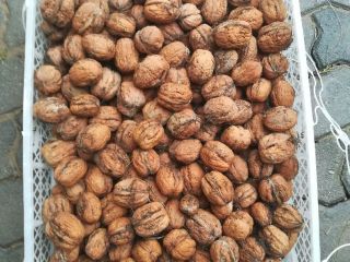 Walnuts jacks. Organic cultivation. I have about 20 kg.