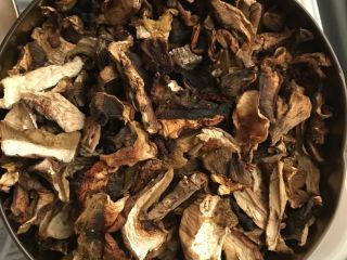 I will sell dried porcini mushrooms on an electric
