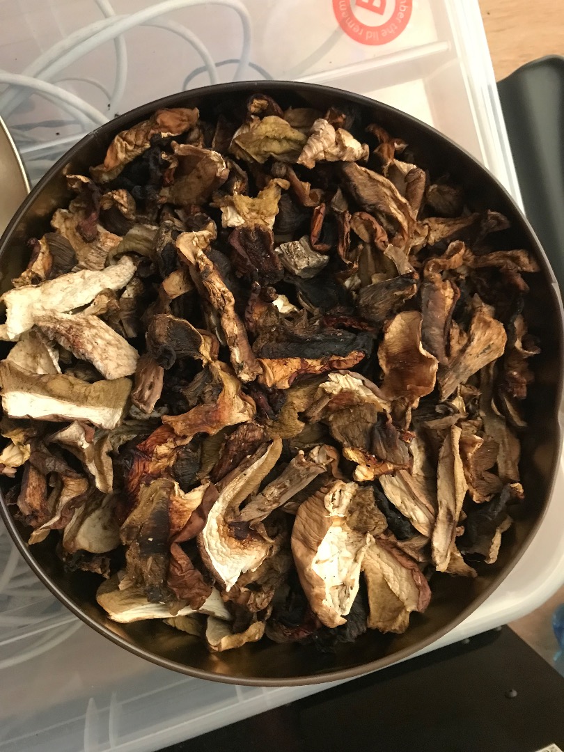I will sell dried porcini mushrooms on an electric dryer