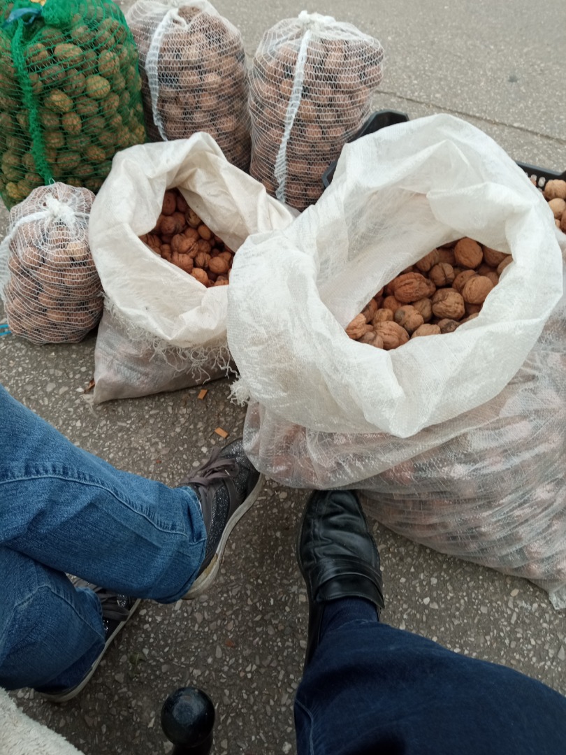 I will sell Walnuts Jacek Świerże soft shell from our own ecological plot More information by phone