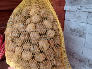 I will sell fresh walnuts from my own court,