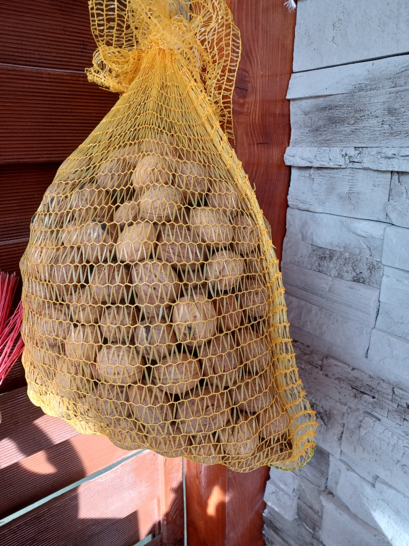 I will sell fresh walnuts from my own court, fully organic