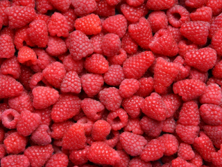 Raspberries of the Vilamet variety, vintage 2022, extra quality,