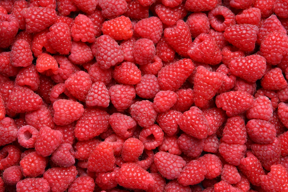 Raspberries of the Vilamet variety, vintage 2022, extra quality, original, packed in 10 kg boxes