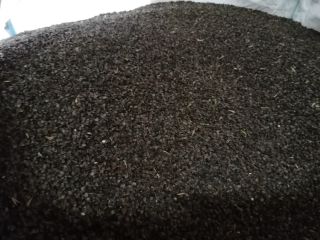 Buckwheat, Panda variety, this year's harvest, not sprayed, cleaned,