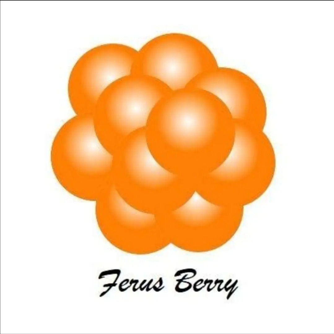 We sell blueberries and lingonberries