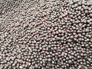 We sell blueberries and lingonberries