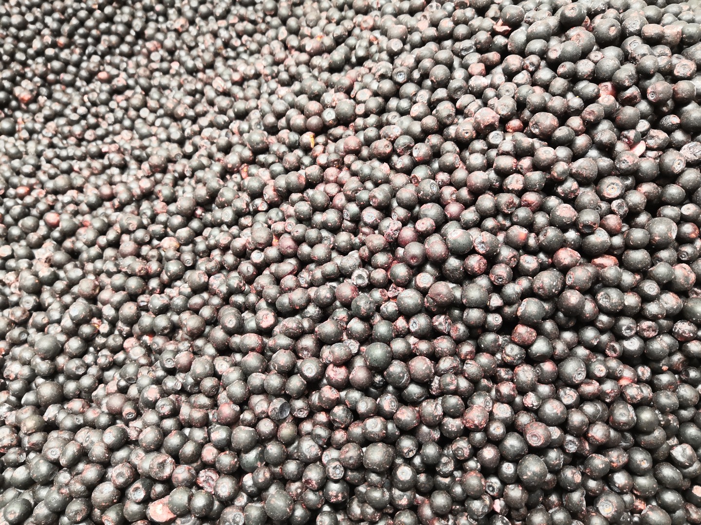 We sell blueberries and lingonberries