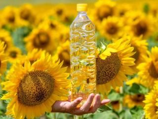 Sun flower oil is the non-volatile oil compressed from