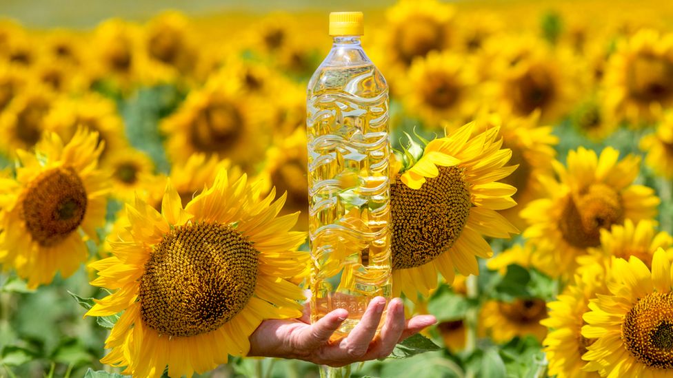 Sun flower oil is the non-volatile oil compressed from the seeds of sun flower