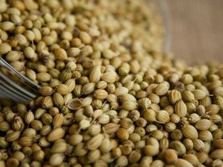 Coriander Seeds Origin SA means of selection Specific-gravity stone
