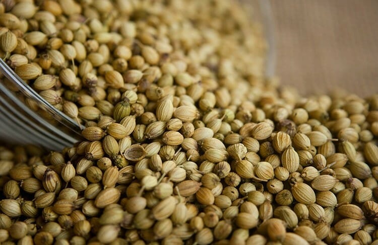 Coriander Seeds Origin SA means of selection Specific-gravity stone removing Size Normal Moisture 12%max Admixture 1% max Packing 25kg or 50kg P.P.bags / 1