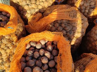 I will sell this year's walnuts. I have about
