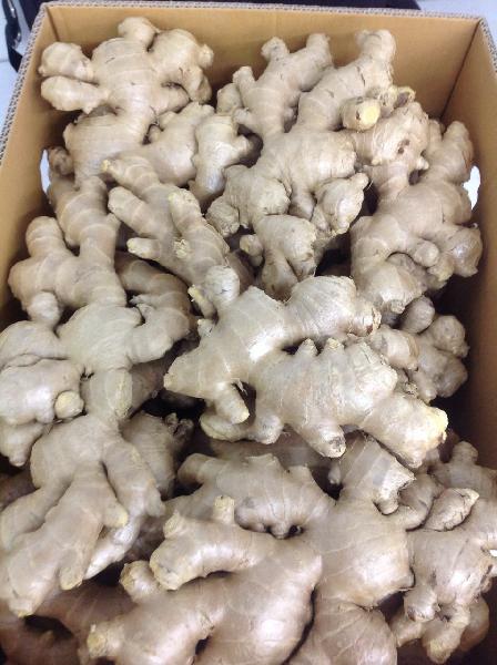 Ginger flakes Thickness: 3-5mm, 6-7mm, as needed