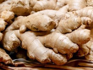 Style: Fresh Type: Ginger Variety: Old Ginger Cultivation Type: