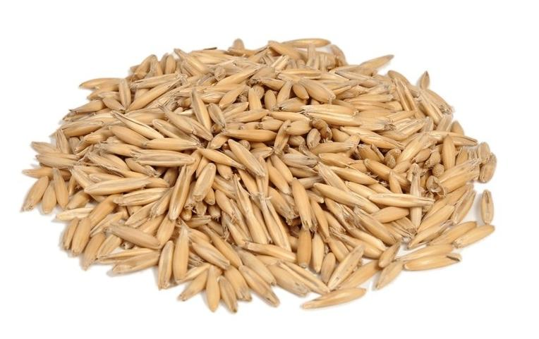 We offer high-quality certified BIO oats, this year's harvest, oats are available in an amount of about 50 tonnes