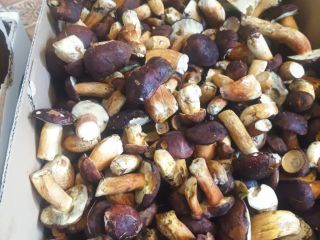 I will sell fresh mushrooms to order