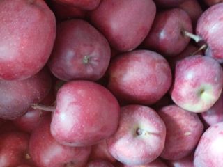 I will sell an apple of the Red chief