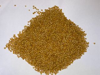 I will sell yellow mustard purity 99.98% Country of