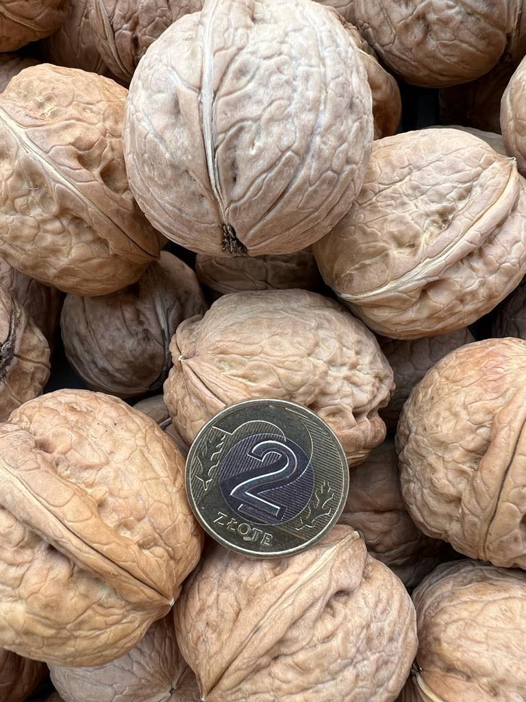 Walnuts for sale