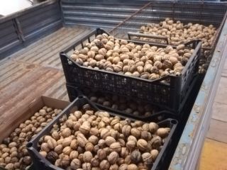 Selected first choice organic local nuts.