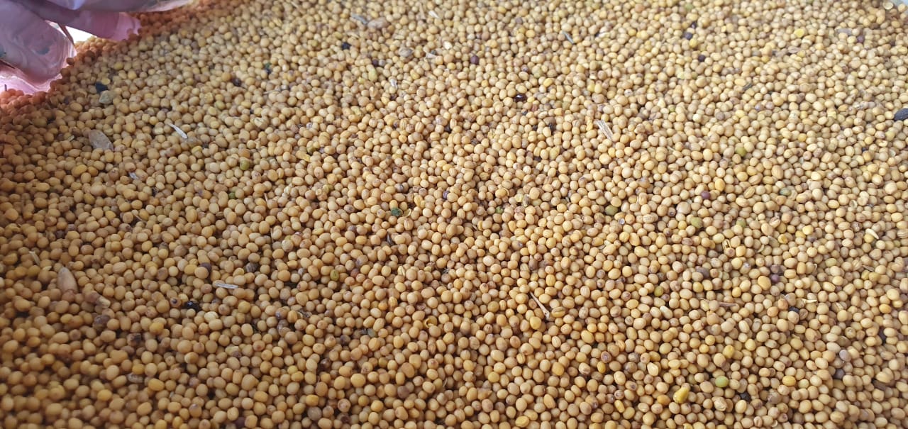 Very good quality from Kazakhstan, Kostanay region
