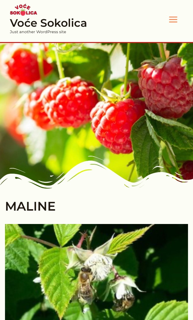 Dear, we are a producer of raspberrys and plumes in serbia