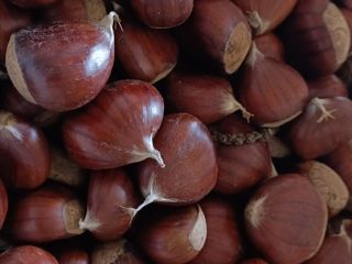 Very sweet, chestnut from El Bierzo