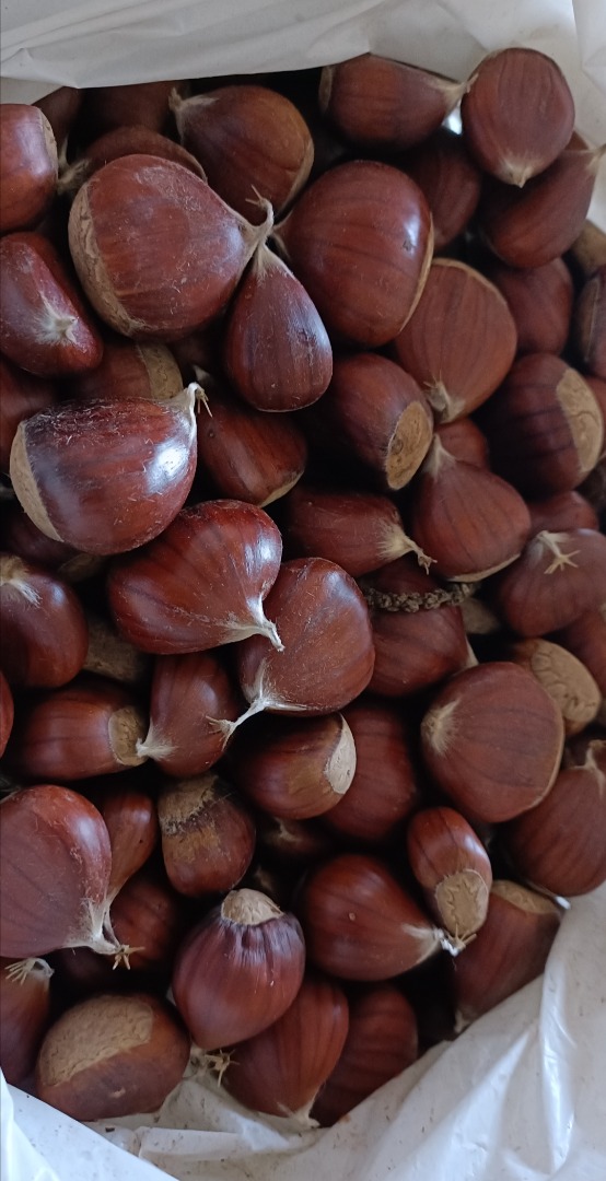 Very sweet, chestnut from El Bierzo
