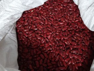 Hello, I am selling red beans. Origin Poland. The