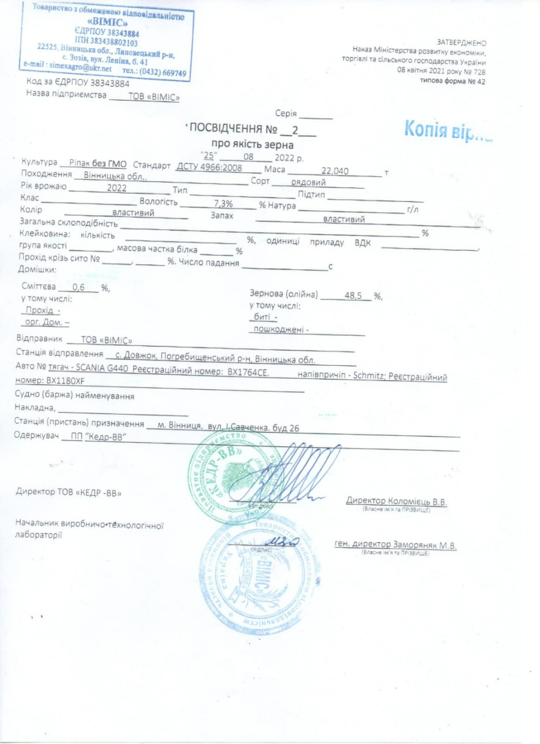 Rape 600 tons per week for sale KODI TEAM Sp.zo.o