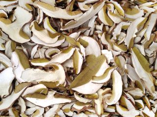 I will sell dried boletus, healthy. Possibility of shipping.