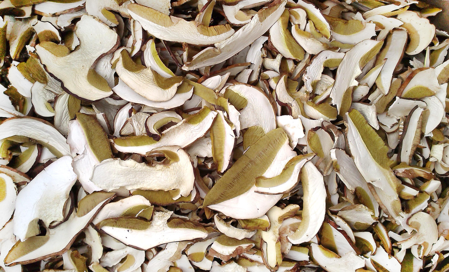 I will sell dried boletus, healthy