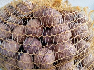 I will sell this year's dry walnuts in my