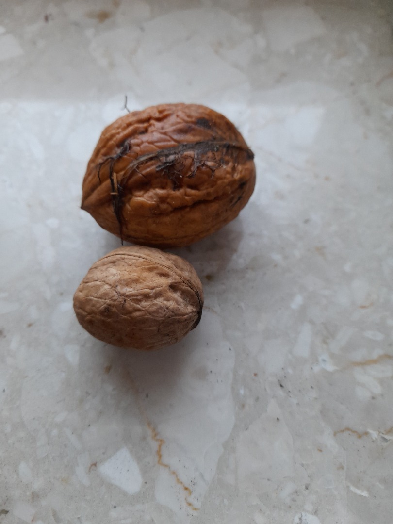 I will sell this year's organic walnut