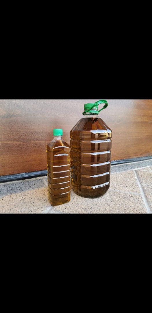 Homemade Greek cold-pressed olive oil from our own harvest and olive forest