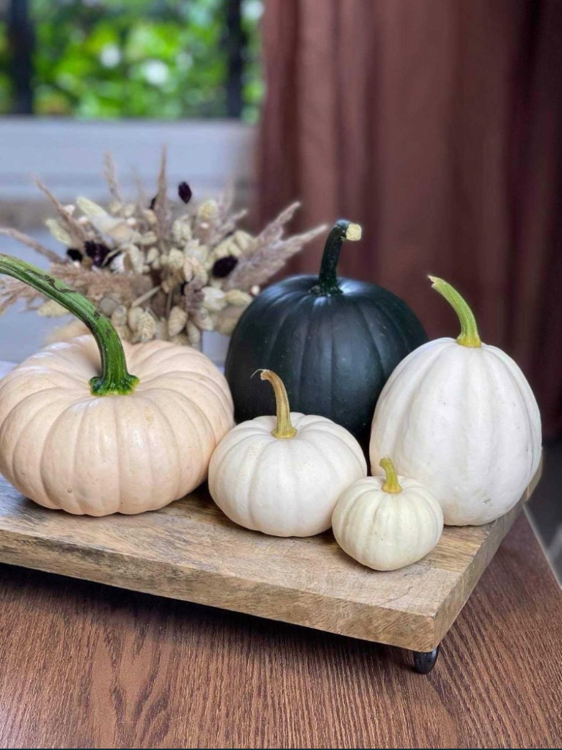 I will sell baby boo pumpkins