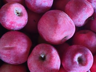 I sell apples, florina/idared varieties, for consumption, picked by