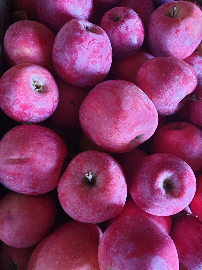 I sell apples, florina/idared varieties, for consumption, picked by hand, at 0.4€/kg, for juices the price is 0.2€/kg