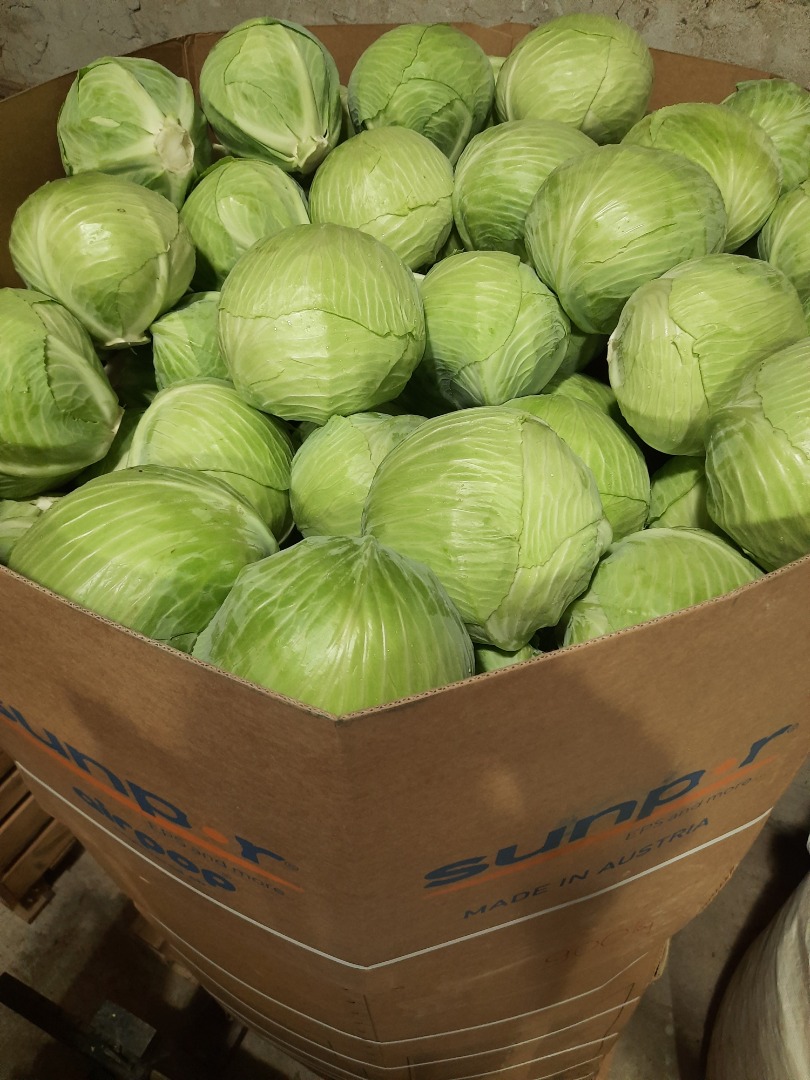 I will sell white cabbage in the caliber of 1.5-5 kg, the amount of 300 tons, packaging to be agreed