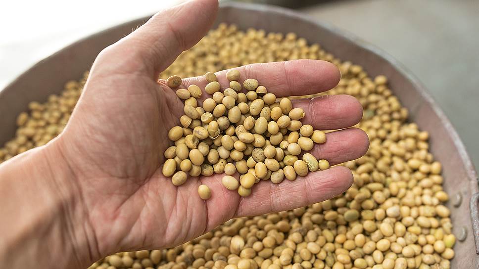 I will sell soybeans in big bags