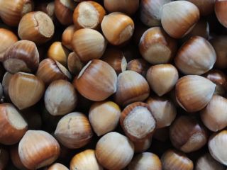 Hello! I have for sale hazelnuts from this year's